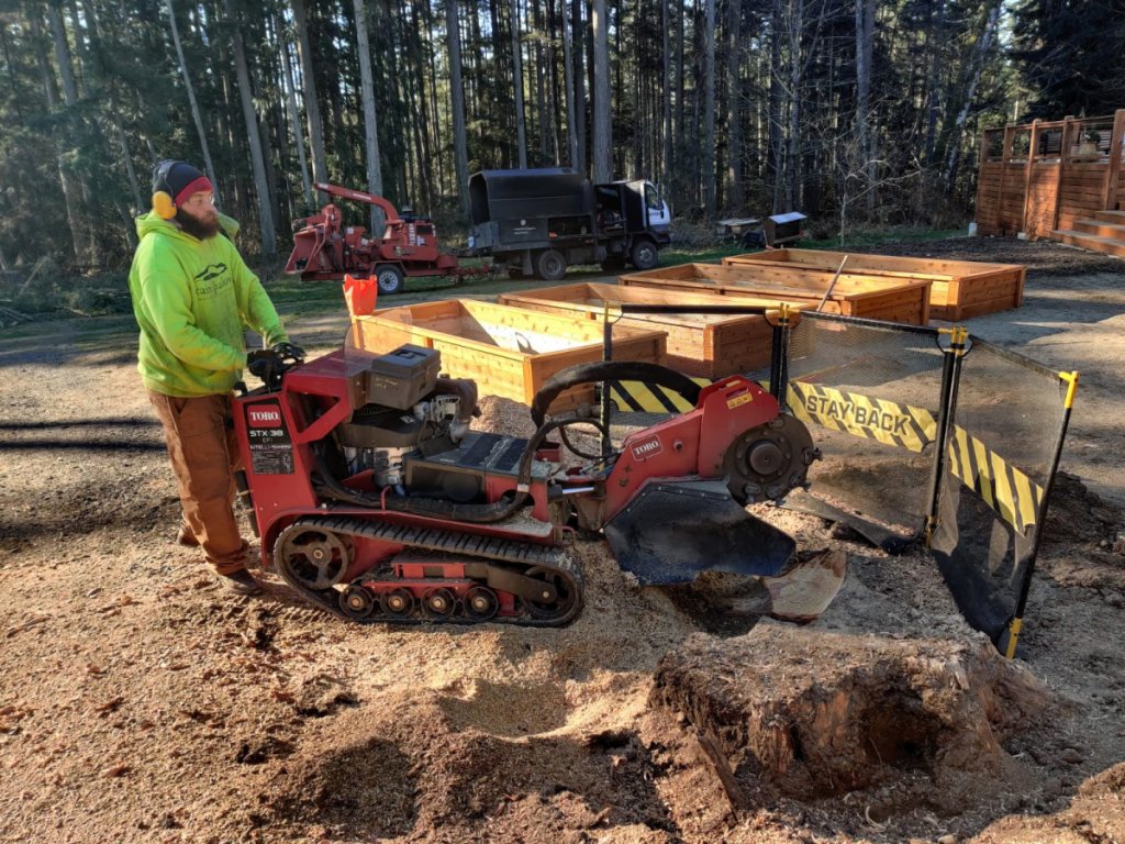 An image of a person operating a tracked stump grinder on a large tree stump